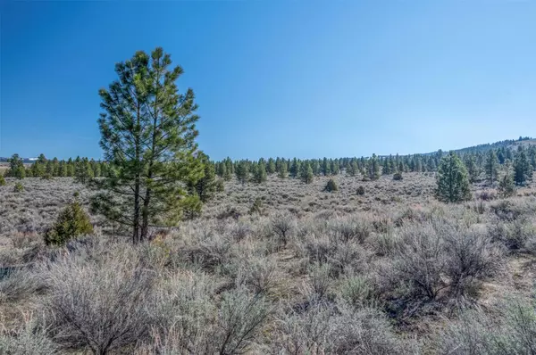 Stevensville, MT 59870,Parcel I Chase LN