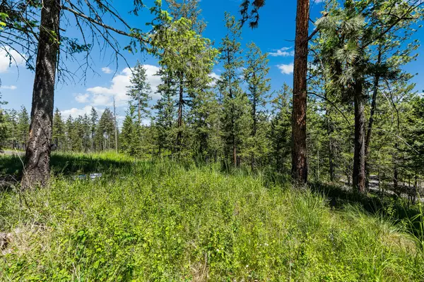 Bigfork, MT 59911,394 Windsor CT