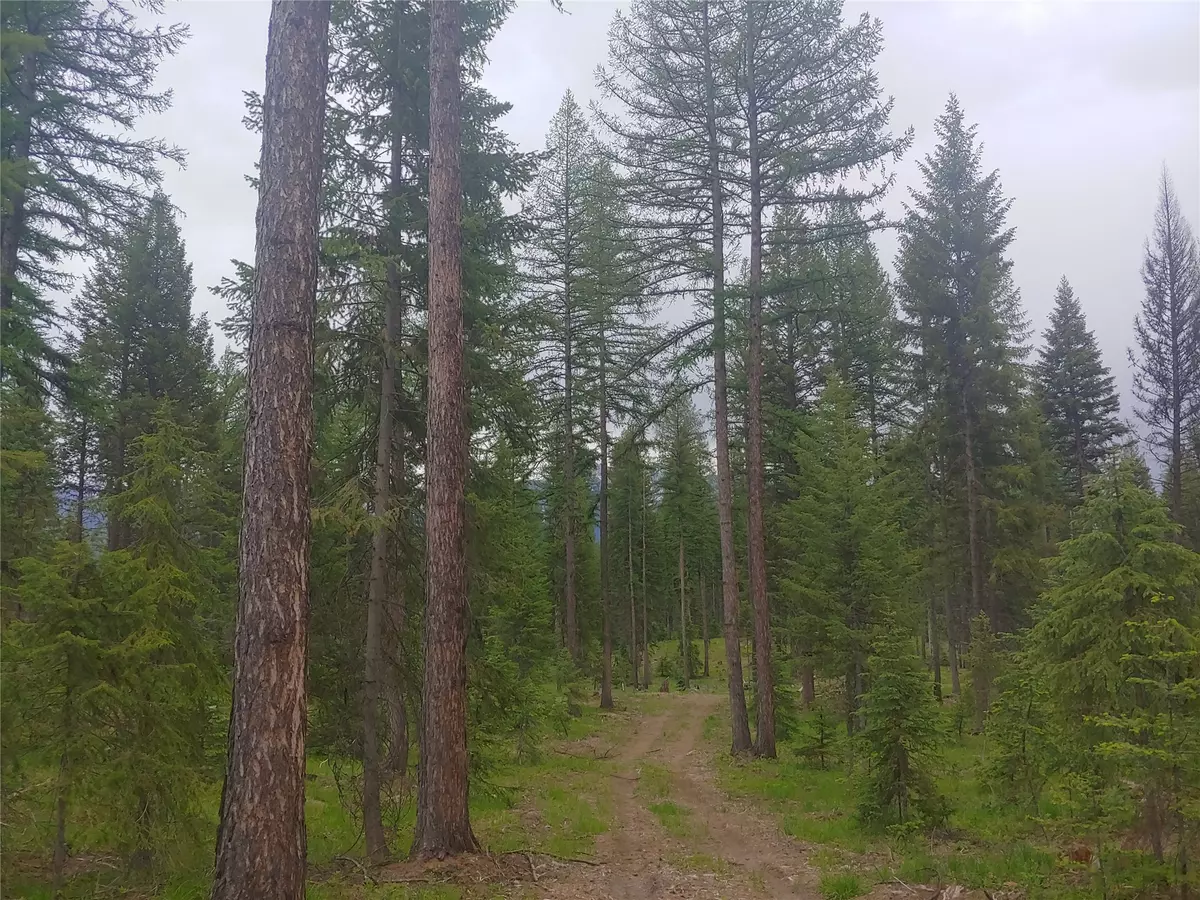 Condon, MT 59826,NHN Off-Styler DR