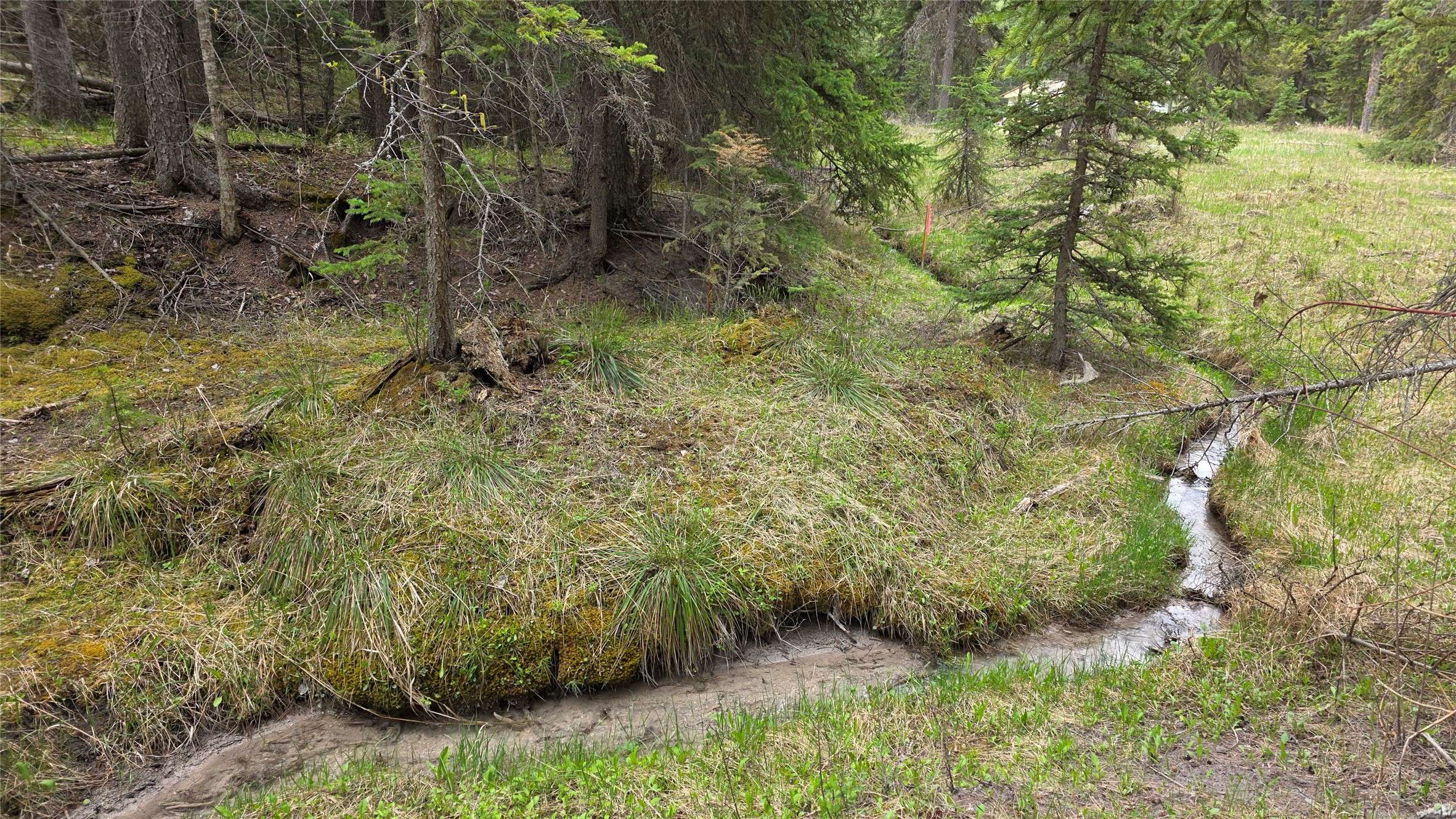 1776 Coon Hollow RD, Kila, MT 59920