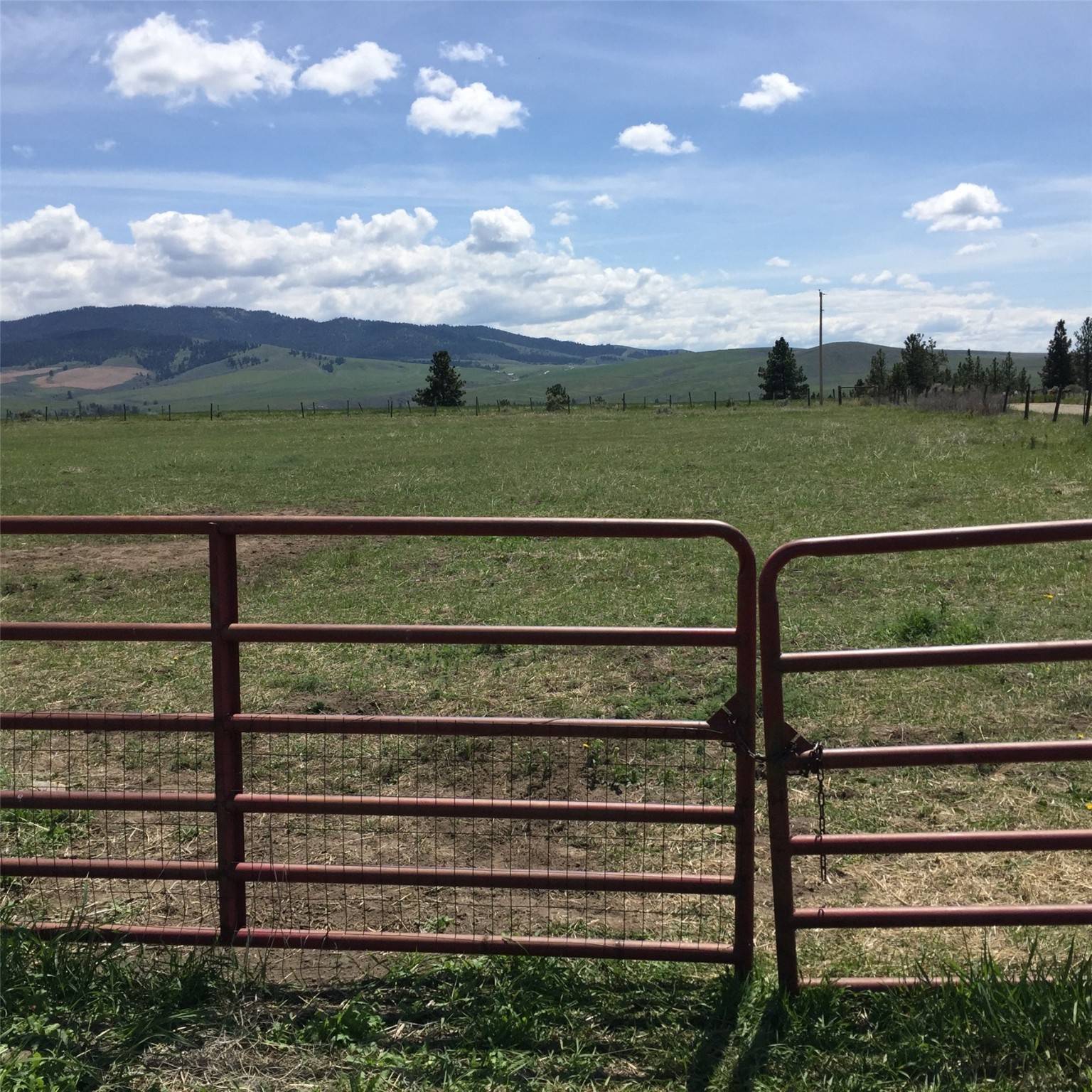 Stevensville, MT 59870,3010 Redjou LN