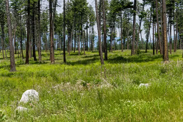 Whitefish, MT 59937,289 Layton RD