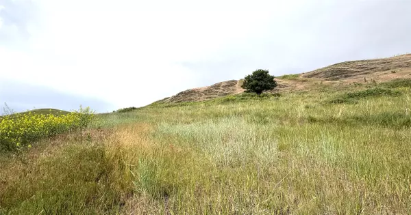 Polson, MT 59860,Homesite 25 Stone Horse DR
