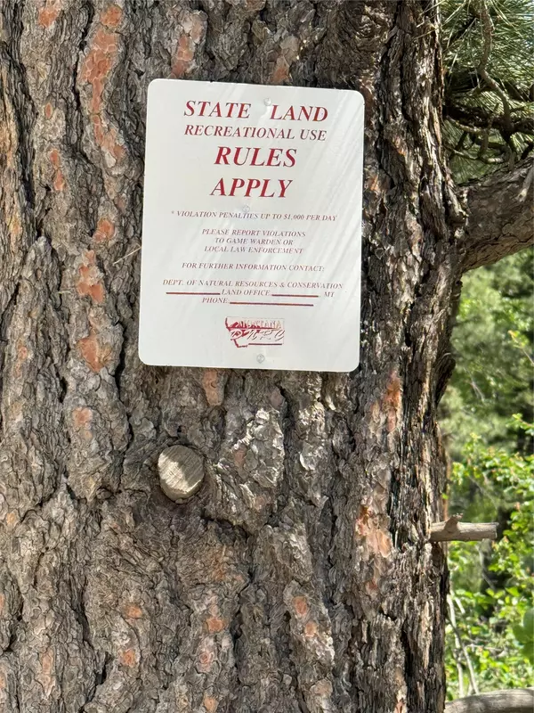 Wolf Creek, MT 59648,NHN Little Wolf Creek RD