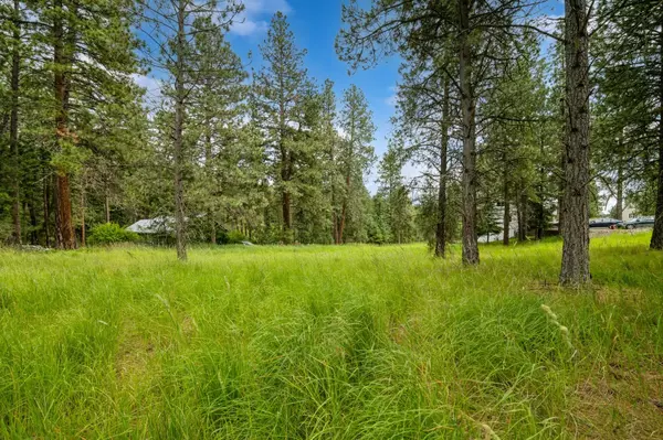 234 Stage Ridge RD, Bigfork, MT 59911