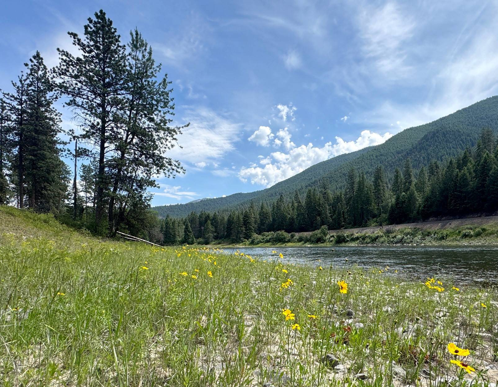 390 Quarter Circle Cross DR, St Regis, MT 59866