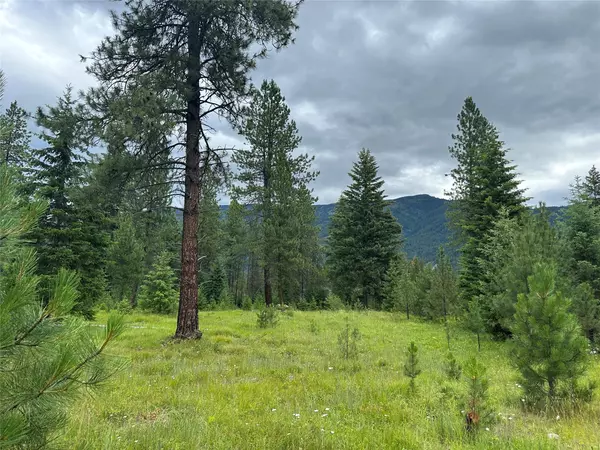 Trout Creek, MT 59874,NHN Sapphire LN #Lot 10