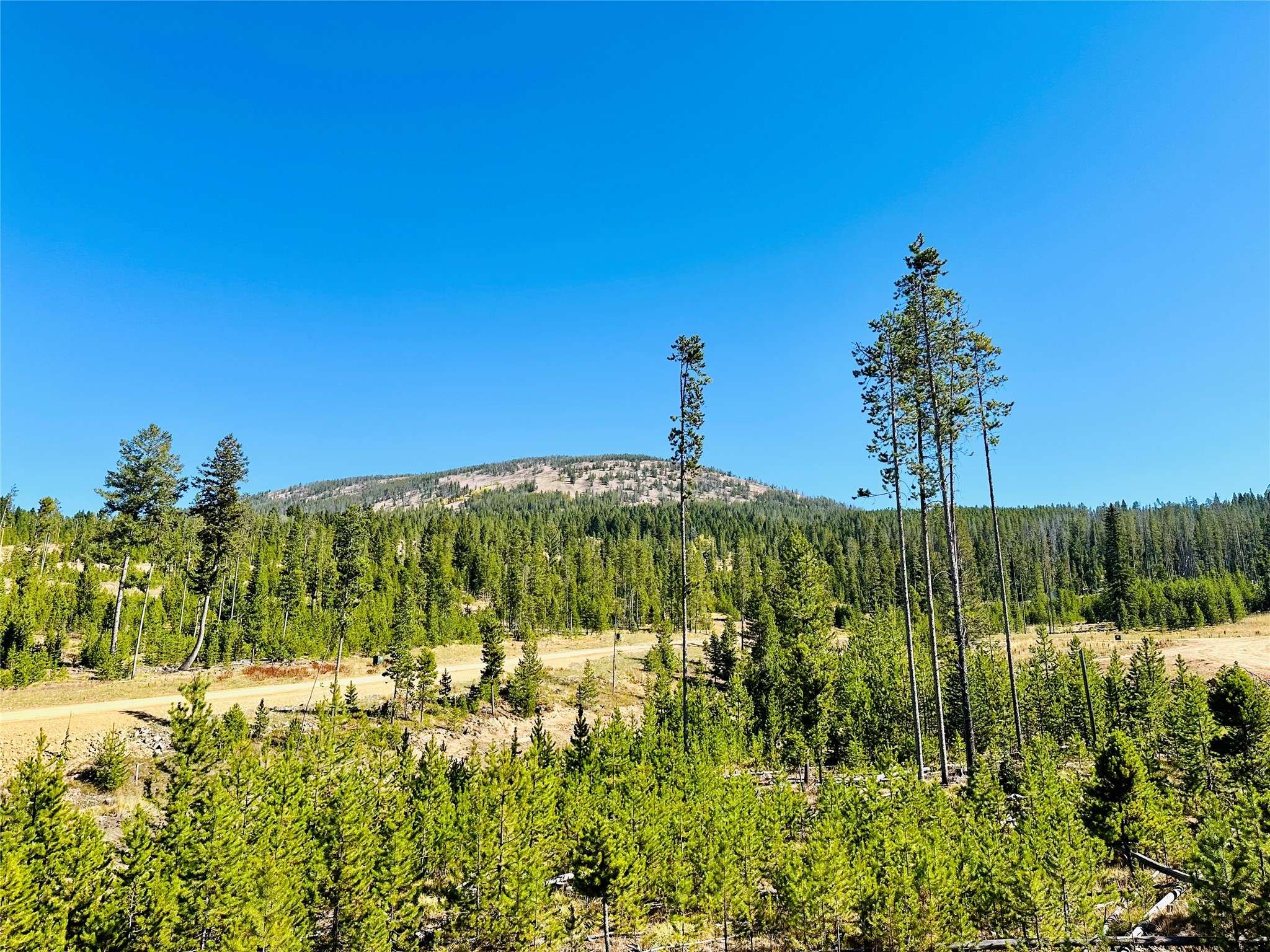 Anaconda, MT 59711,Nhn Silvantite LN #Lot 3