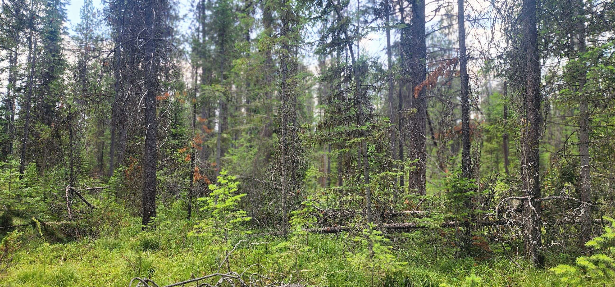 9295 Highway 93 N, Olney, MT 59927