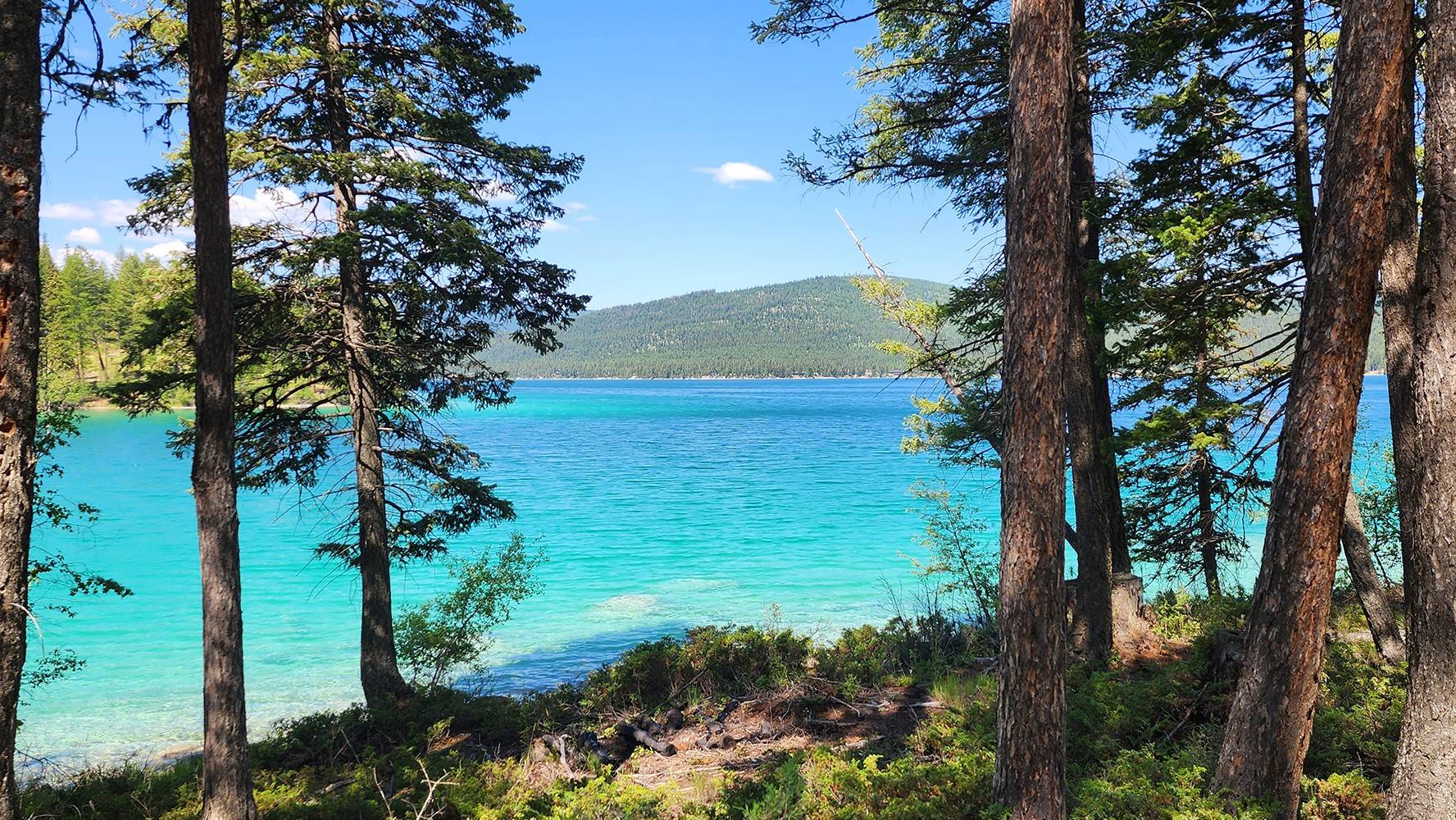 Kalispell, MT 59901,nhn S Ashley Lake RD