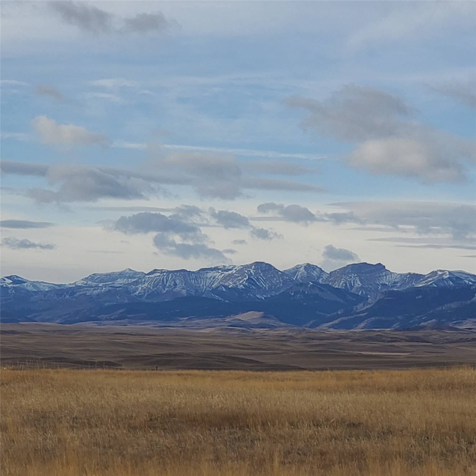 Augusta, MT 59410,252 S Prickly Pear LN