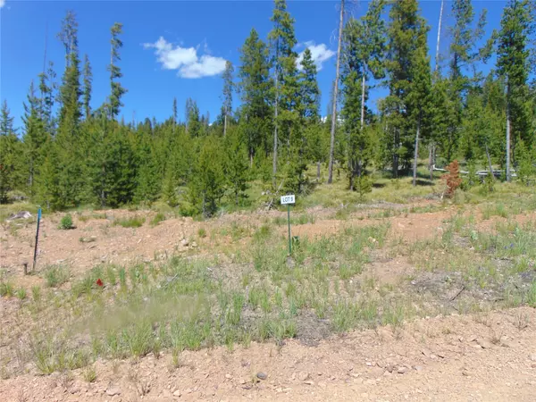 Nhn Covellite LN #Lot 9, Anaconda, MT 59711