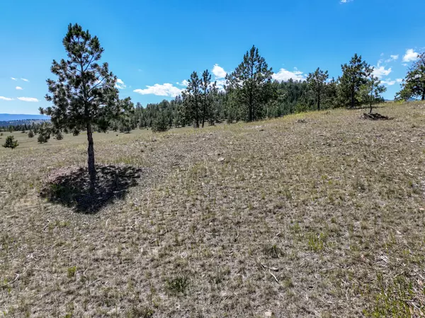 Clancy, MT 59634,9 Mansfield LOOP