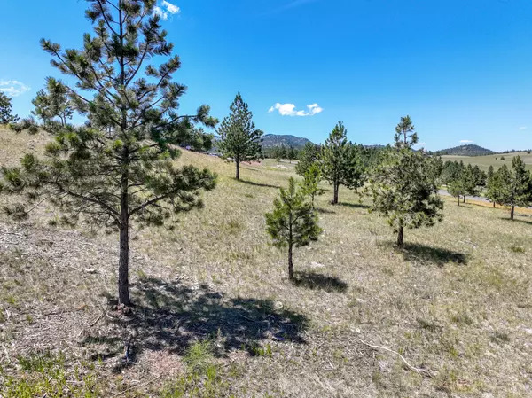 Clancy, MT 59634,9 Mansfield LOOP