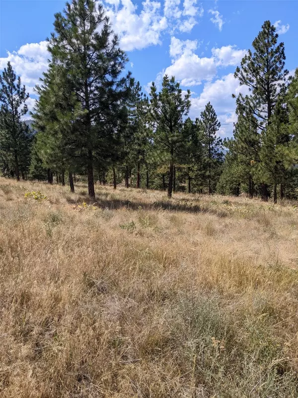 Plains, MT 59859,Lot 29 Leiber RD