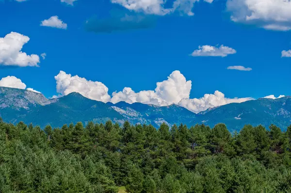 Bigfork, MT 59911,400 Echo Lake RD