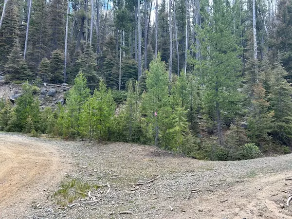 Basin, MT 59631,269 Boulder Chief RD