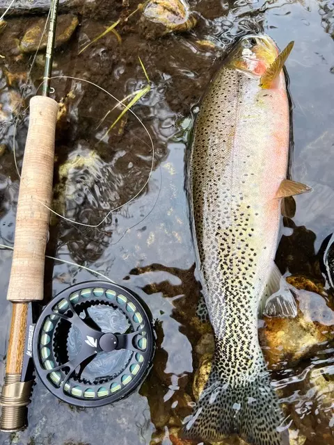 Hamilton, MT 59840,1307 Skalkaho Hwy