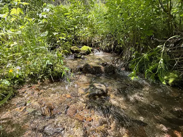 Boulder, MT 59632,336 Quintana LN