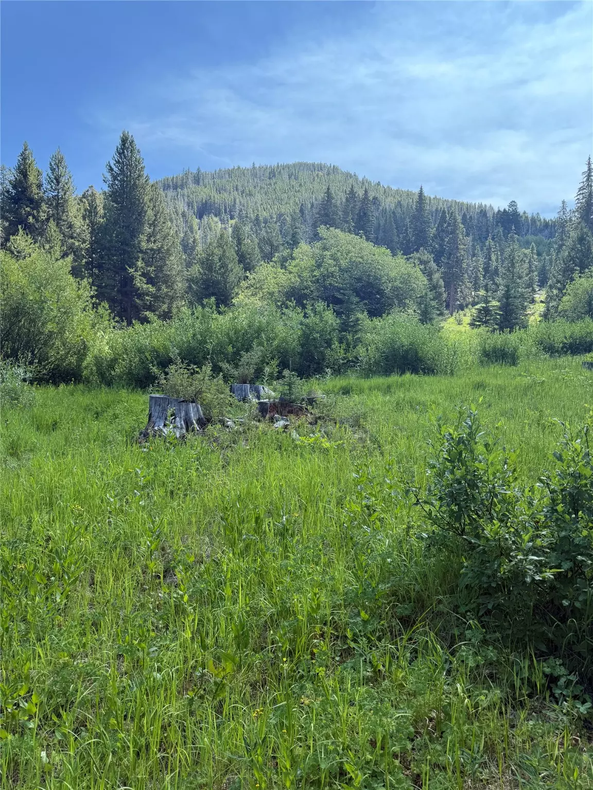 Philipsburg, MT 59858,NHN Belle TRL