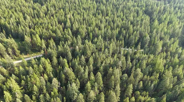 Eureka, MT 59917,NHN Haven BND