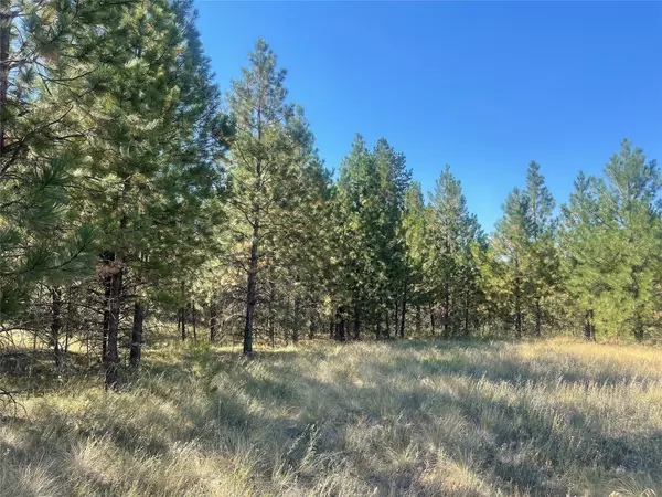 Lot 55 Jette Meadow RD, Polson, MT 59860