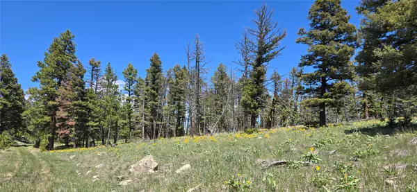 Drummond, MT 59832,6 Tract, Bull Elk
