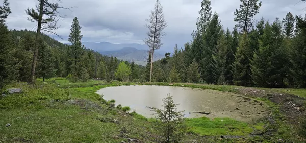Drummond, MT 59832,4 Tract, Bull Elk