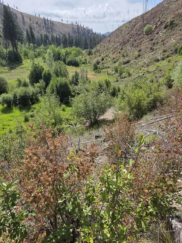 Conner, MT 59827,5855 Serenity LN