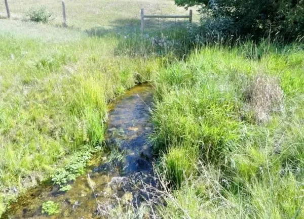 Corvallis, MT 59828,482 Yerian LN