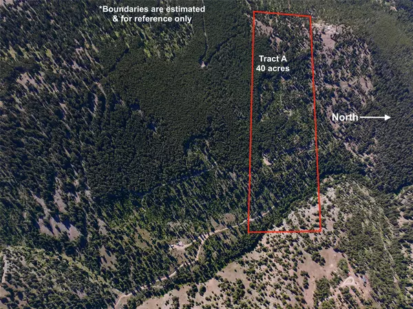 TBD A Chimney Lakes RD, Helmville, MT 59843