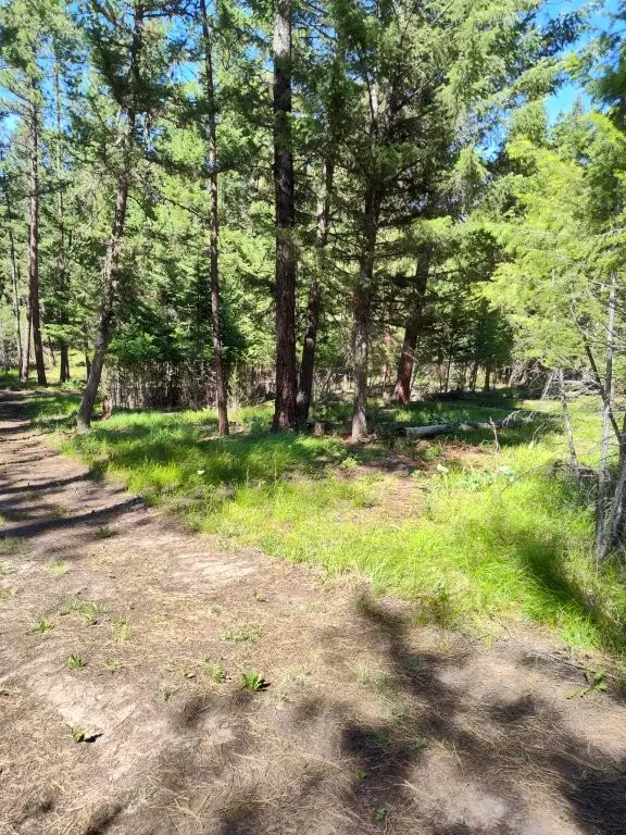 1825 Copper Cliff DR, Potomac, MT 59823