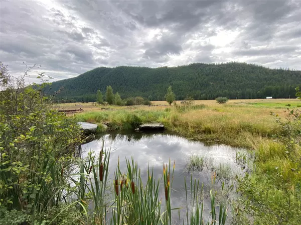 Yaak, MT 59935,2398 Pine Creek RD