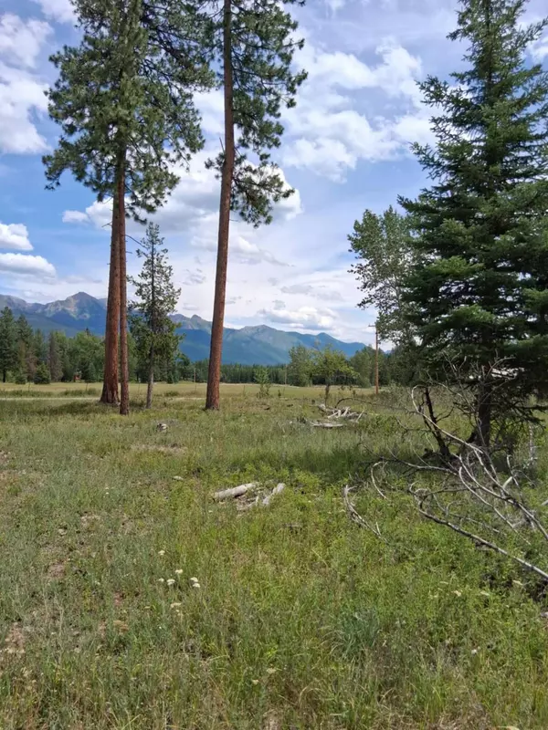 nhn Hollopeter RD, Condon, MT 59826