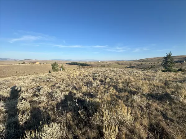 White Sulphur Springs, MT 59645,45 Mountainview TRL