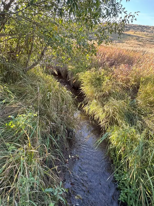 White Sulphur Springs, MT 59645,45 Mountainview TRL