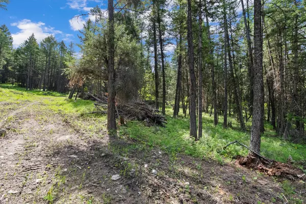 Somers, MT 59932,433, 437 & 439 Buffalo TRL