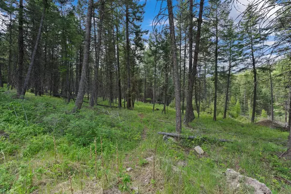 Somers, MT 59932,433, 437 & 439 Buffalo TRL