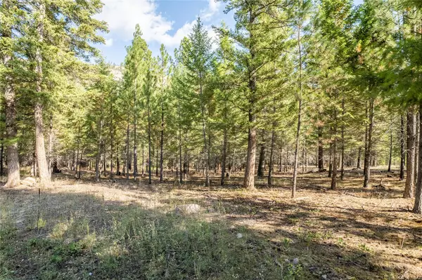 Clinton, MT 59825,Lot 2 Caddisfly CT