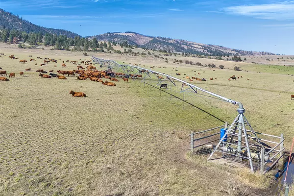 Florence, MT 59833,000 South Pastures