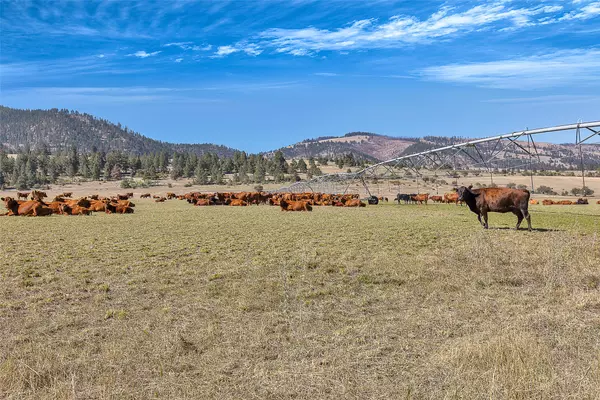 Florence, MT 59833,000 South Pastures