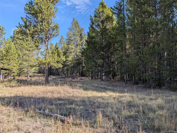 West Yellowstone, MT 59758,NHN Valentine LN