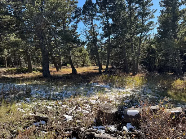 Raynesford, MT 59469,TBD Arrowood Estates LN