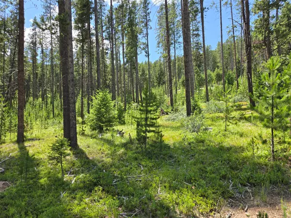 Lot 39 Shakopee DR, Anaconda, MT 59711