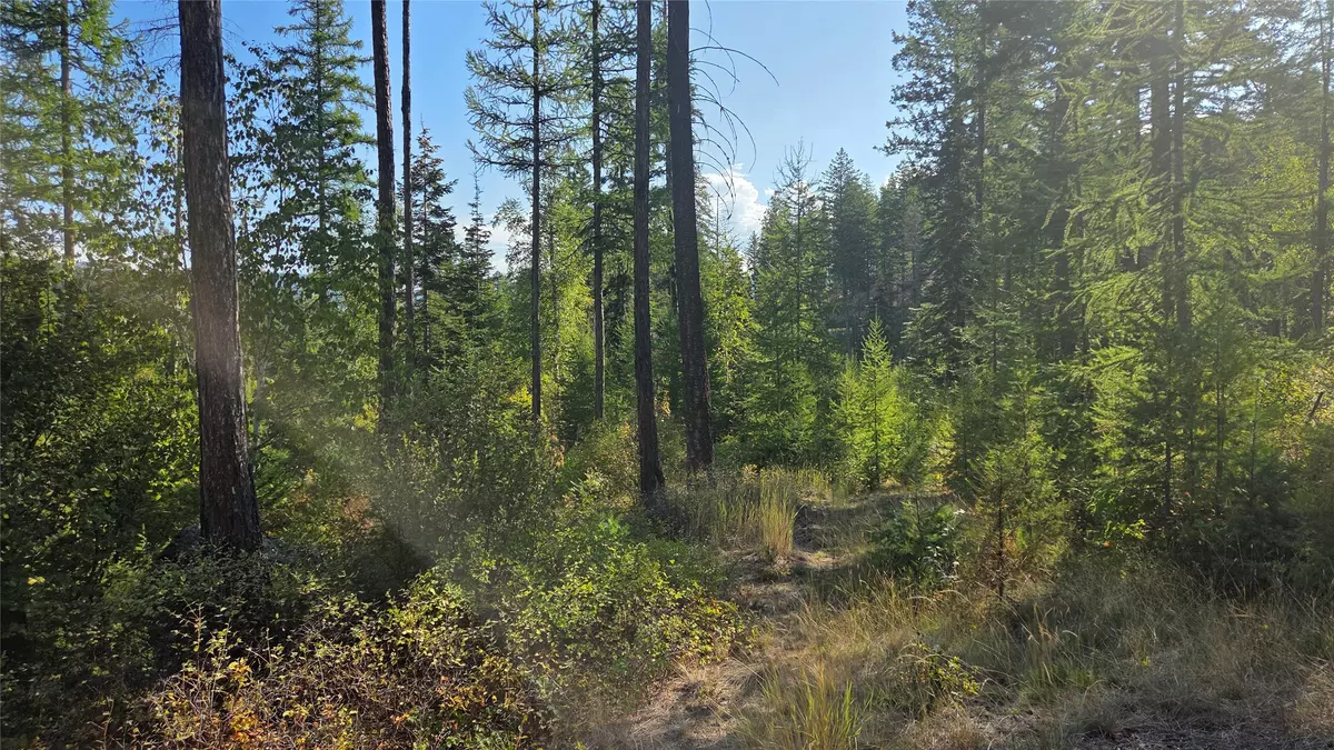 Polebridge, MT 59928,NHN North Fork RD