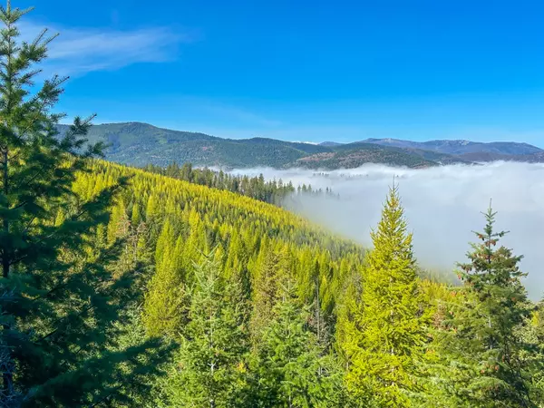 Nhn Pats Knob RD, Plains, MT 59859