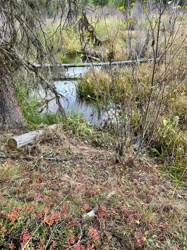 Frenchtown, MT 59834,NHN Mill Creek RD