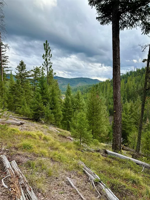 Frenchtown, MT 59834,NHN Mill Creek RD