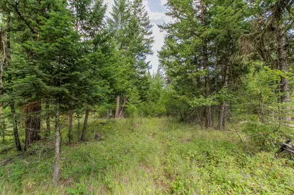 301 Haskill Ranch RD, Kila, MT 59920