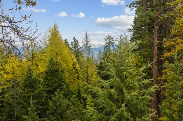 Lakeside, MT 59922,463 and 465 Deer Creek RD